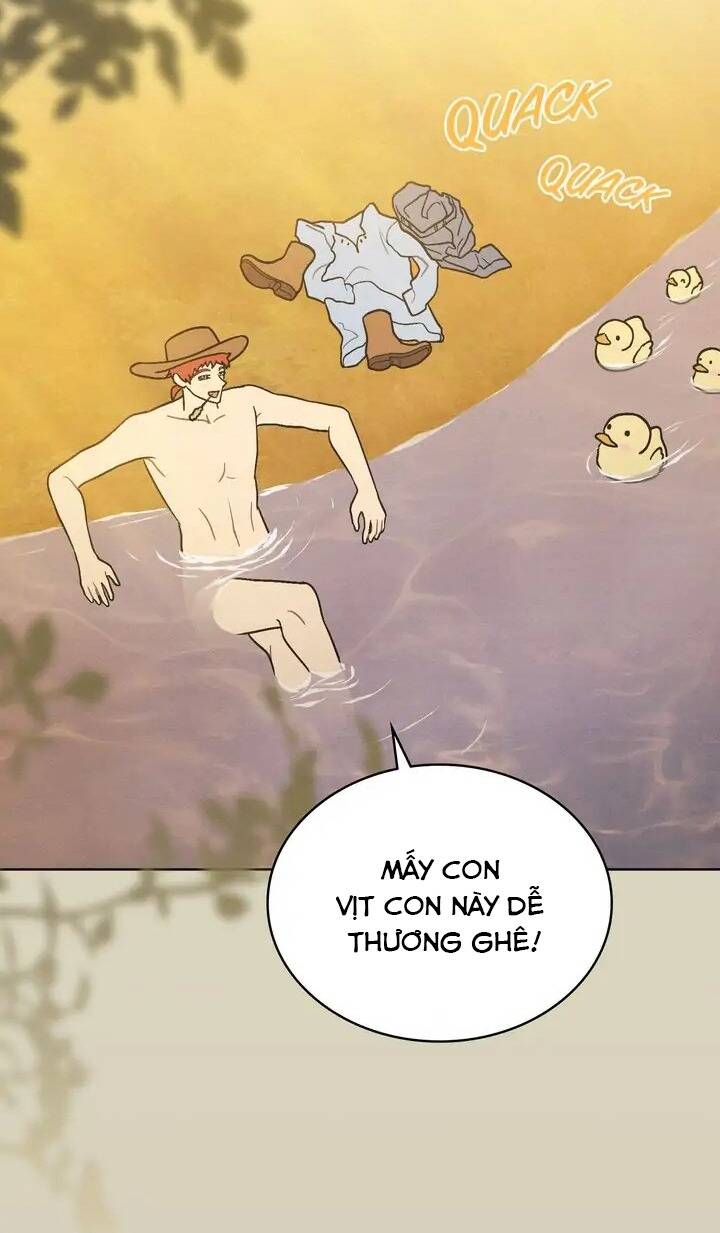 page_22.jpg