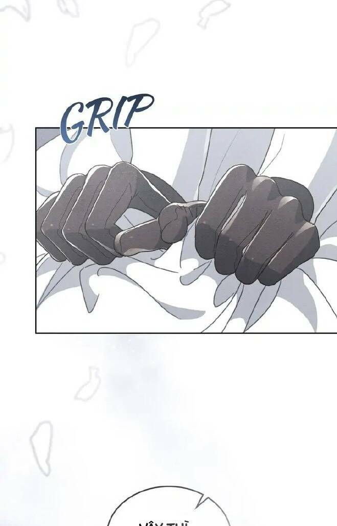 page_23.jpg