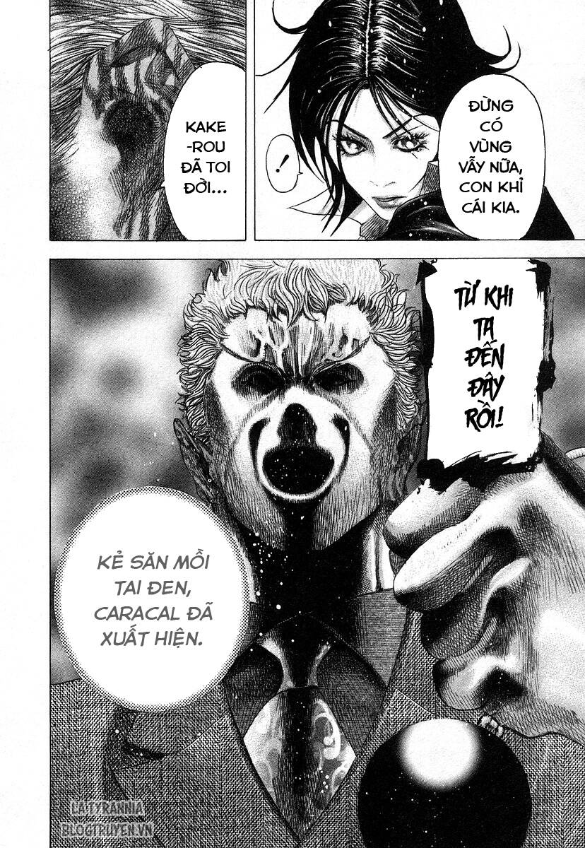 page_18.jpg