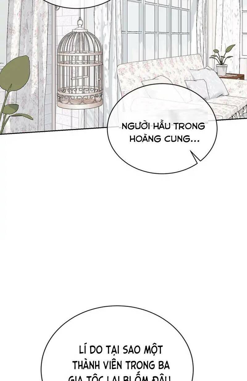 page_20.jpg