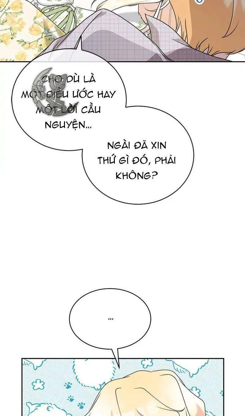 page_42.jpg