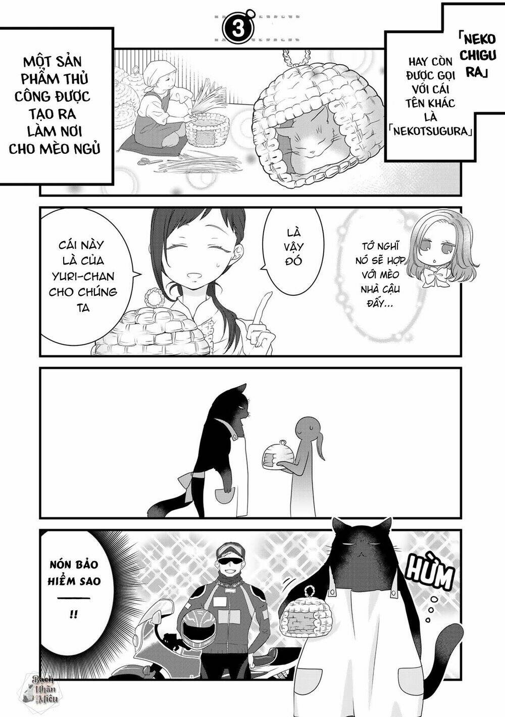 page_2.jpg
