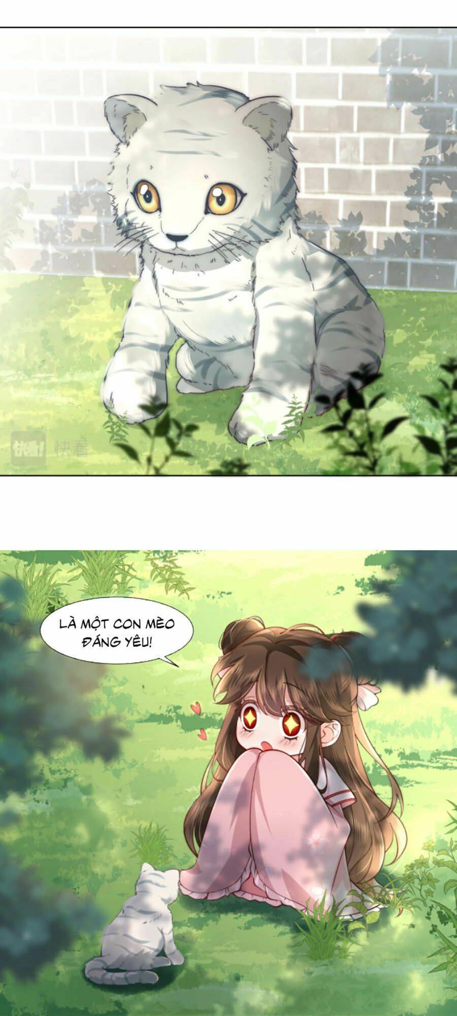 page_16.jpg