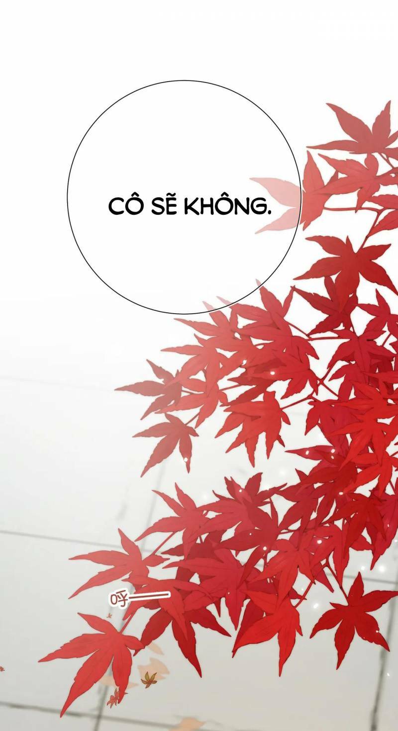 page_22.jpg