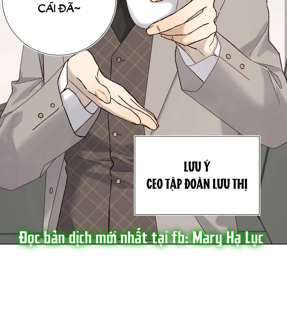 page_21.jpg