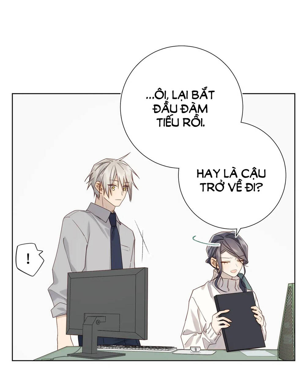 page_27.jpg