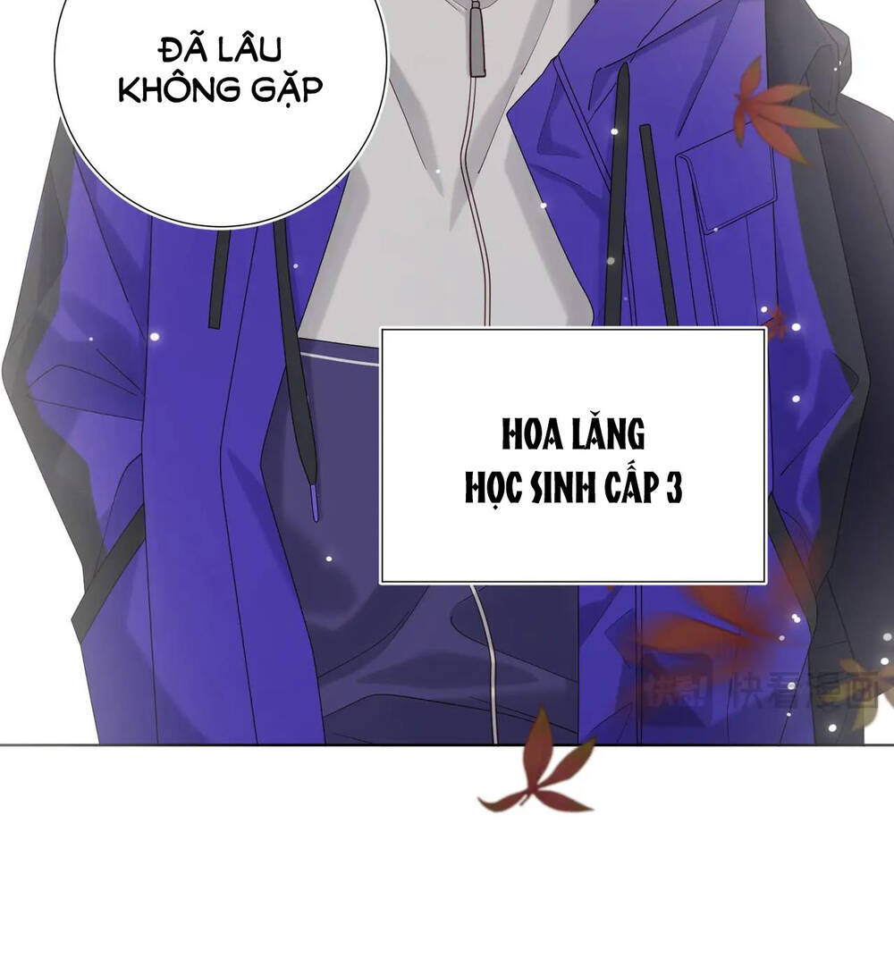 page_41.jpg
