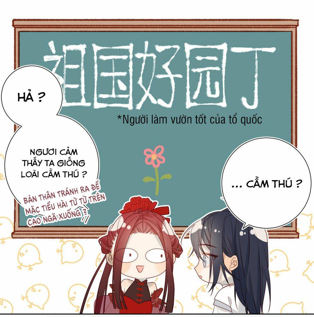 page_23.jpg