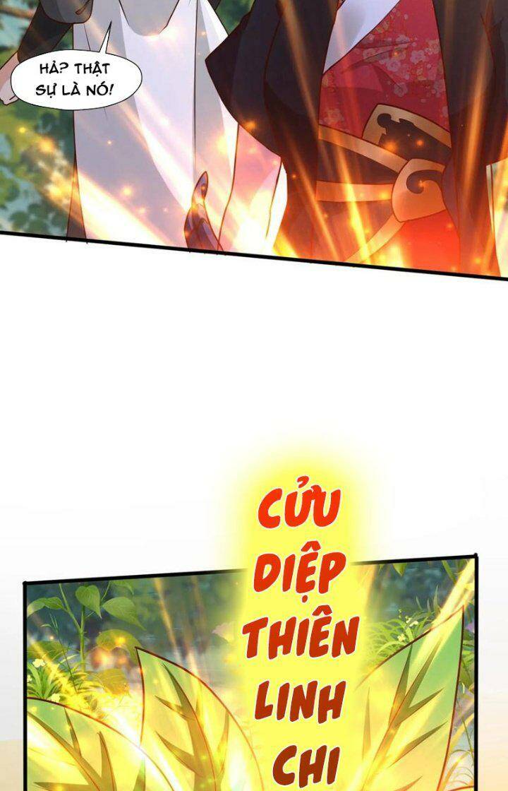 page_5.jpg