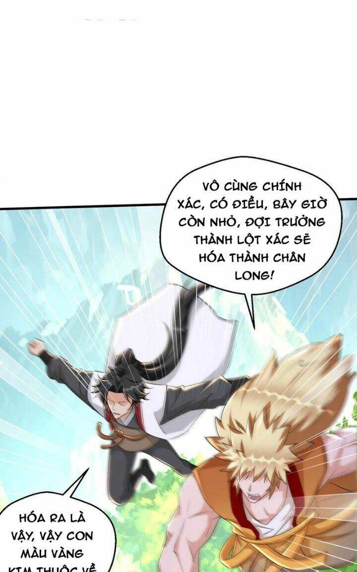 page_4.jpg