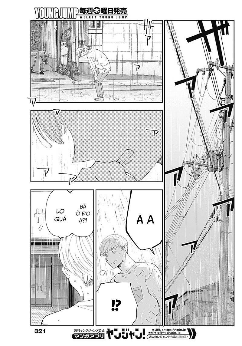 page_19.jpg
