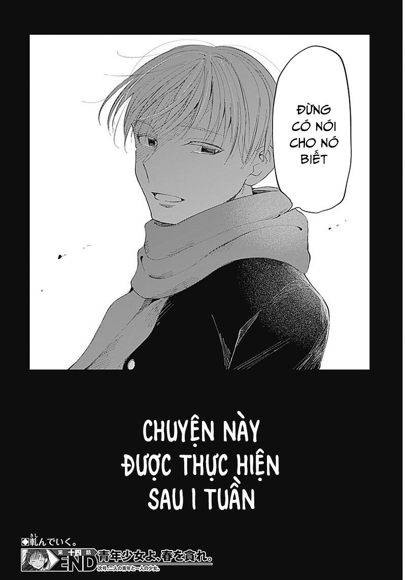 page_20.jpg