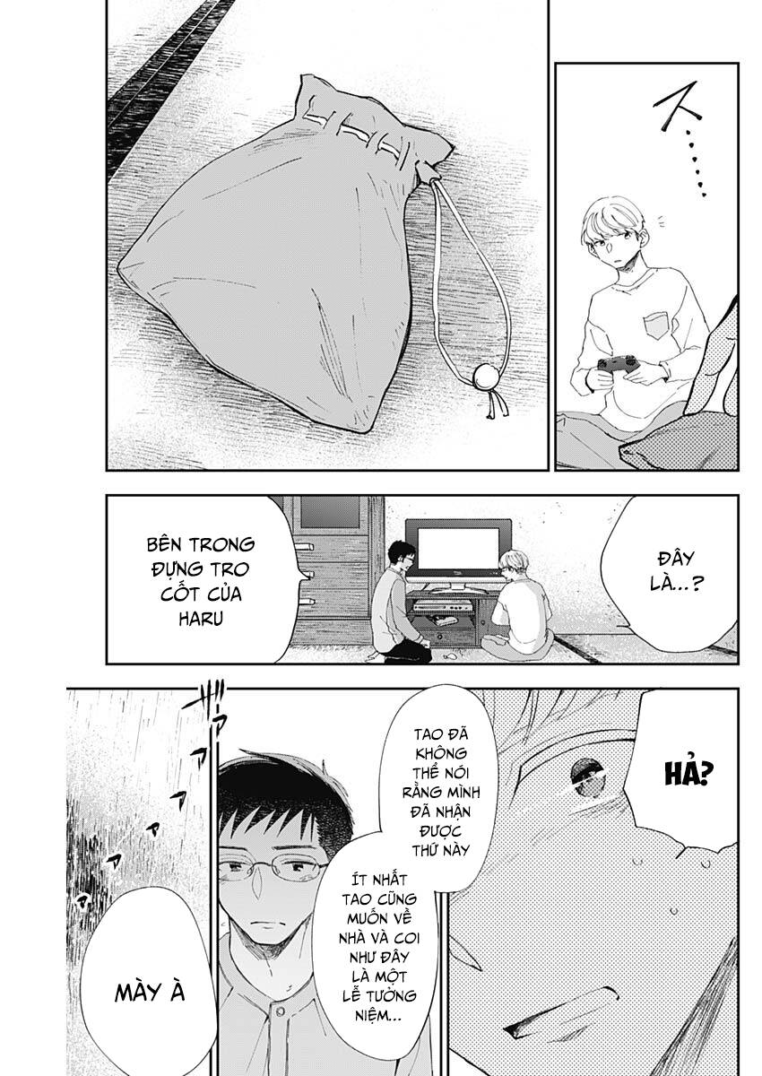 page_13.jpg