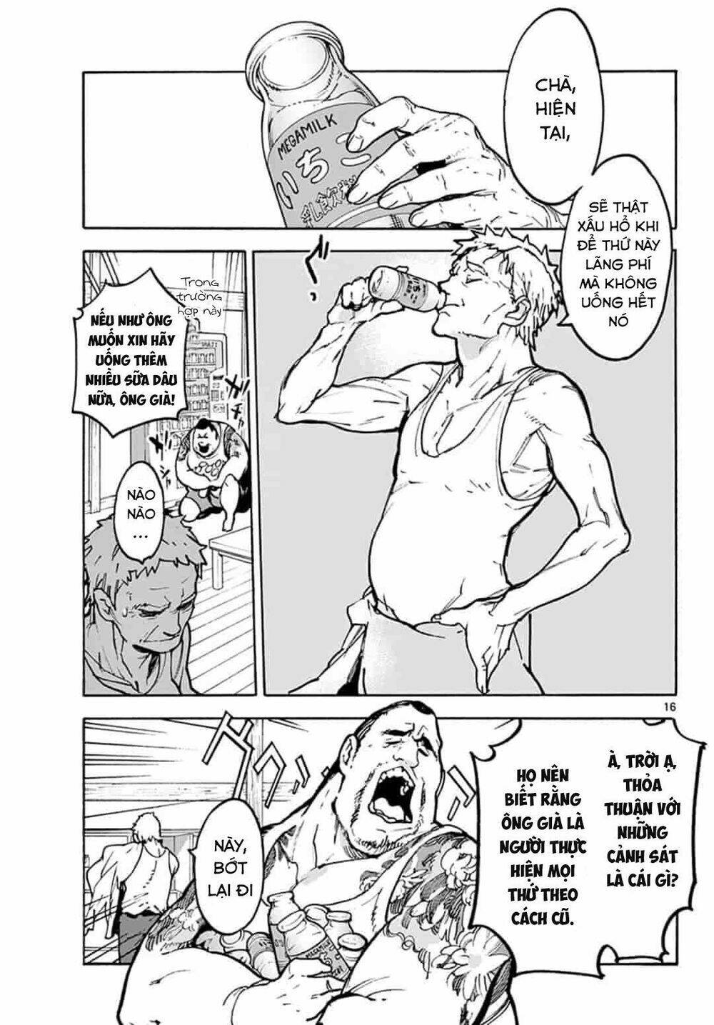 page_16.jpg