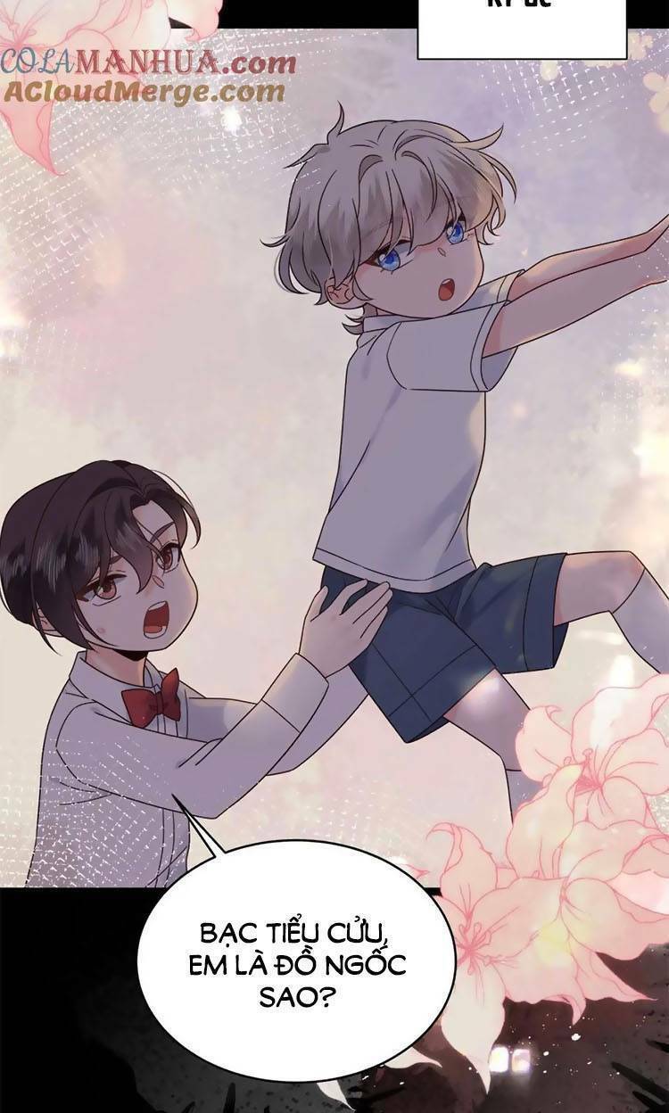 page_16.jpg