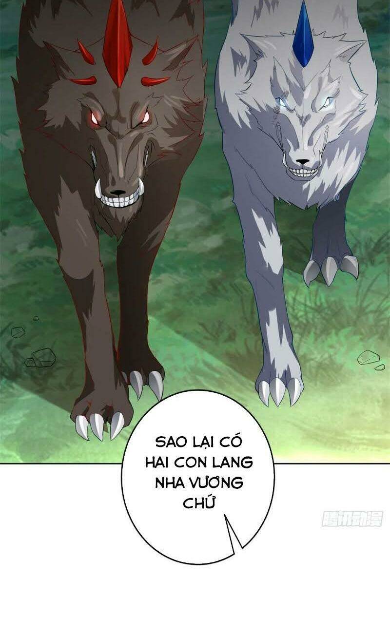 page_29.jpg