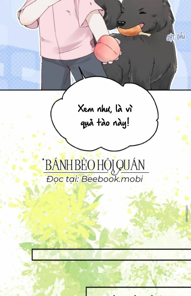 page_16.jpg