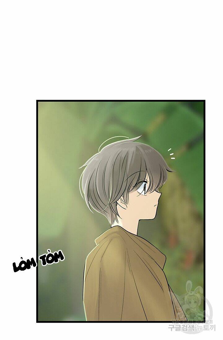 page_16.jpg