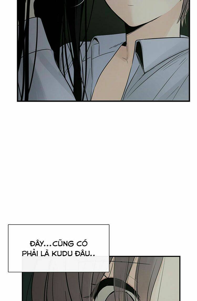 page_14.jpg