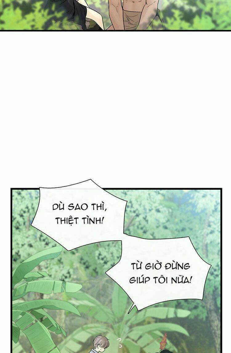 page_24.jpg