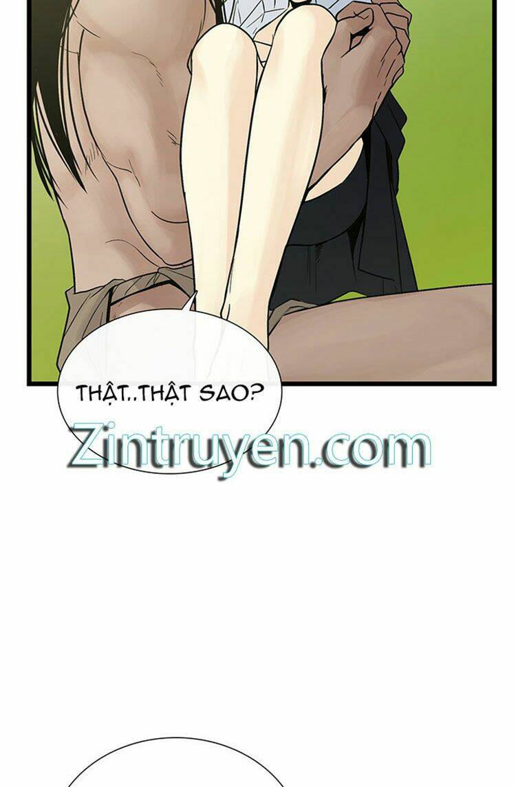 page_17.jpg