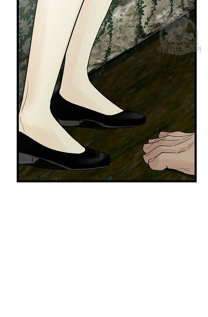 page_17.jpg