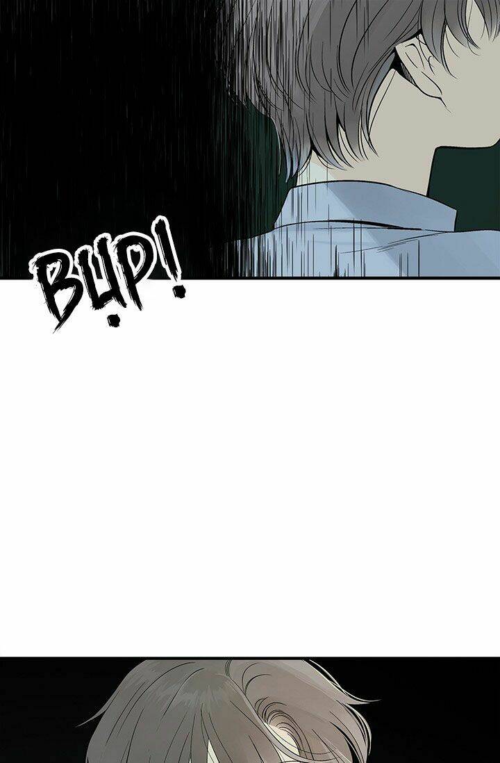 page_23.jpg