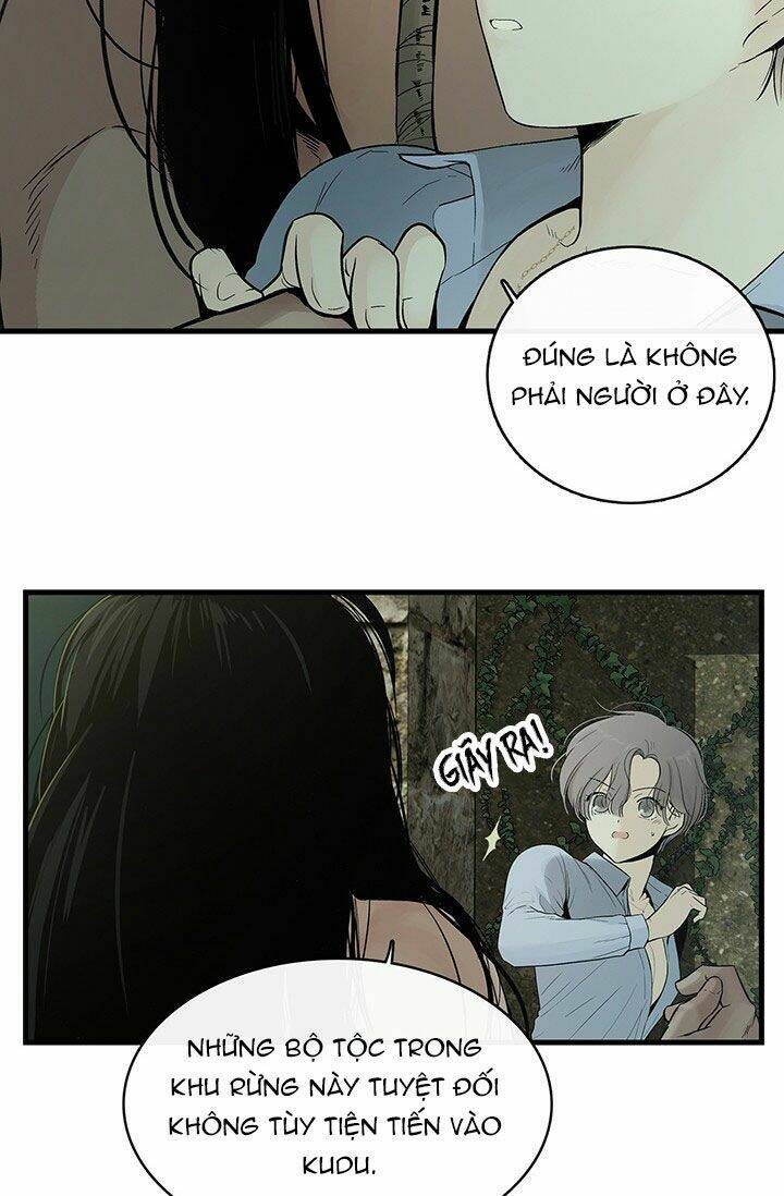 page_31.jpg
