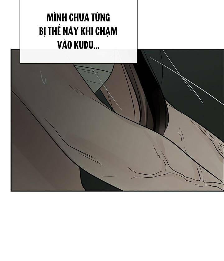page_24.jpg