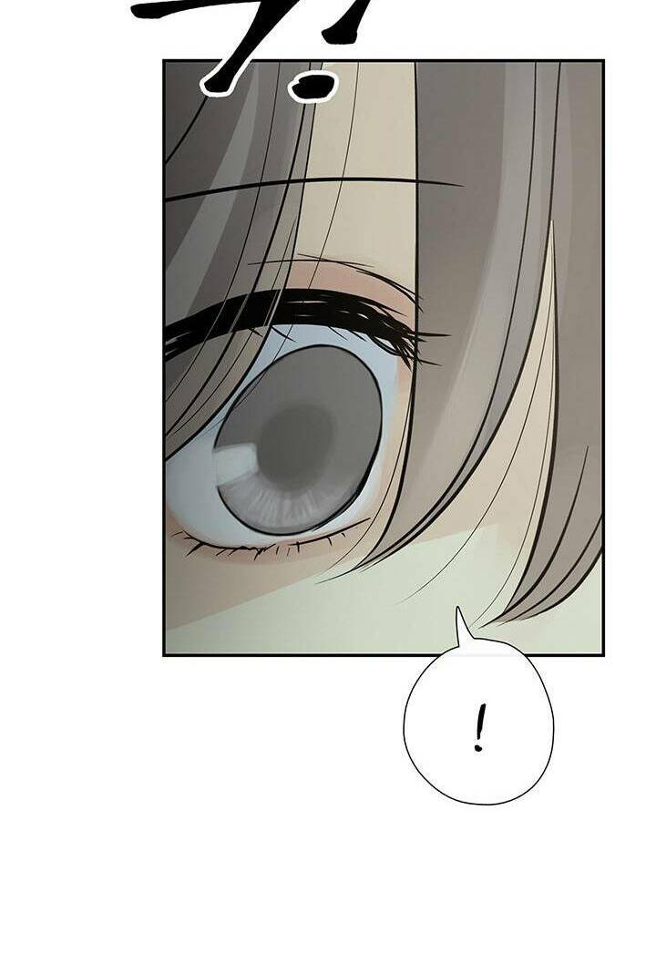 page_20.jpg