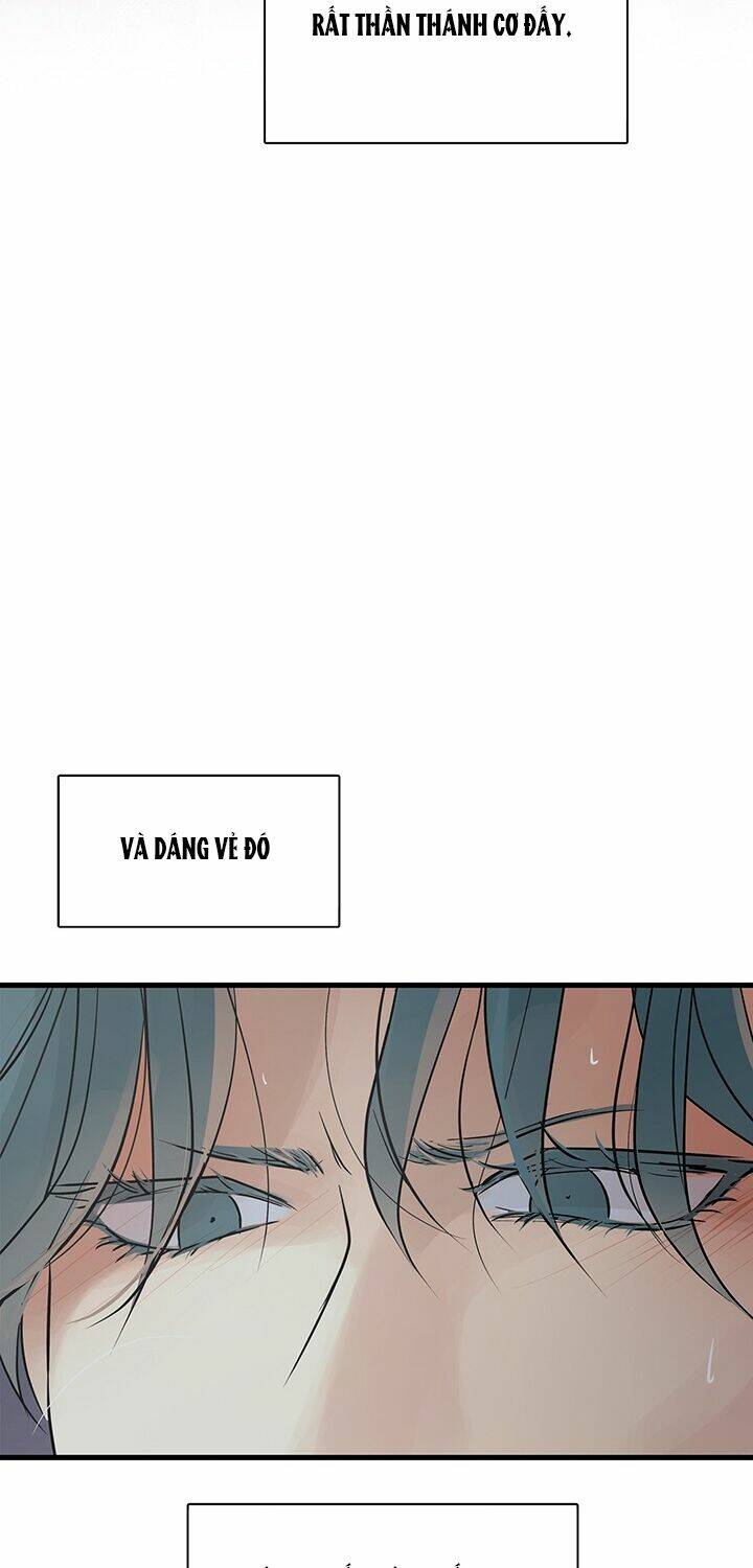 page_27.jpg