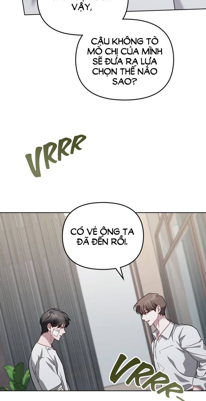 page_21.jpg