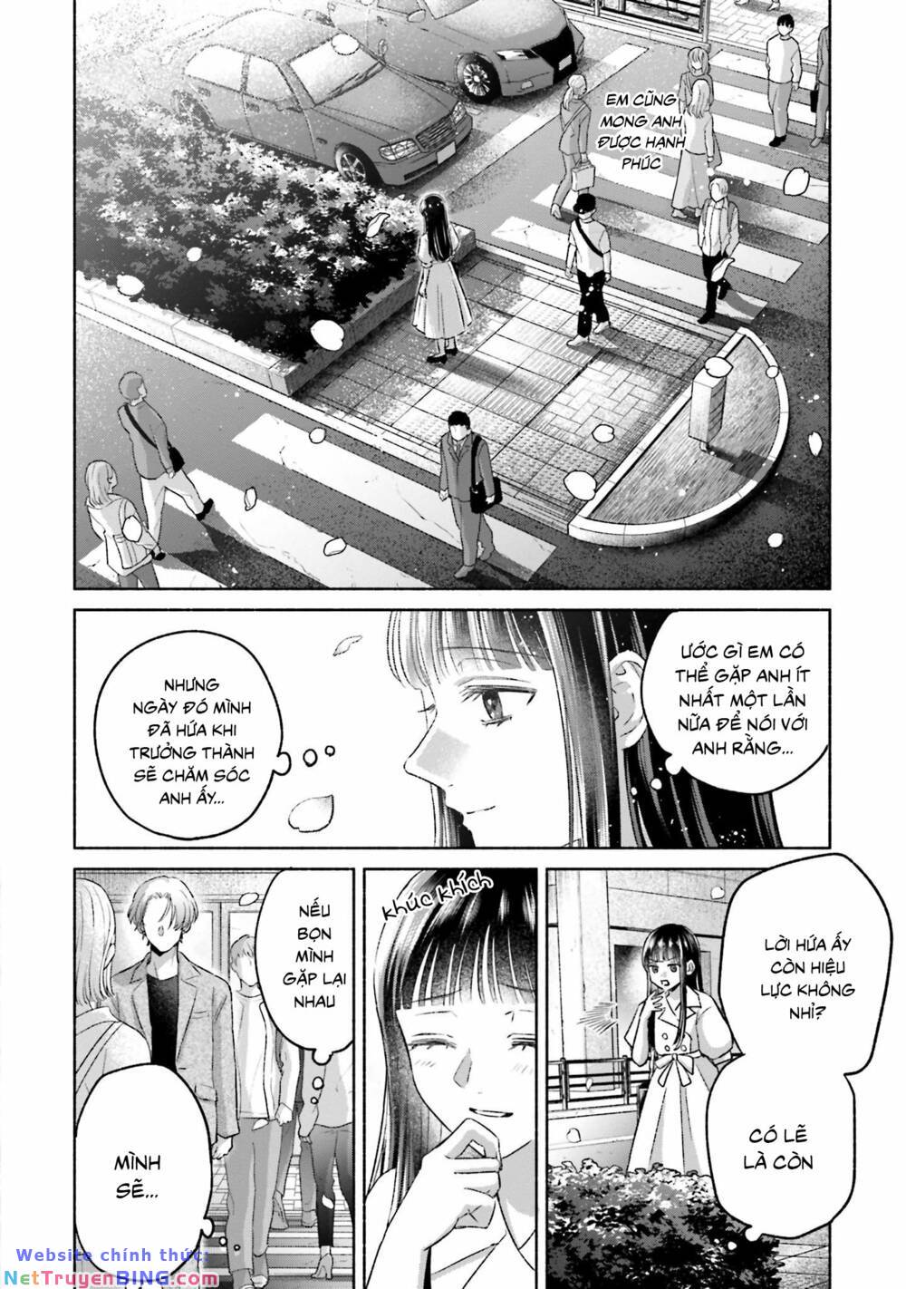 page_19.jpg