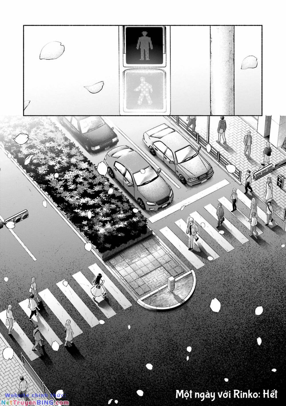 page_27.jpg