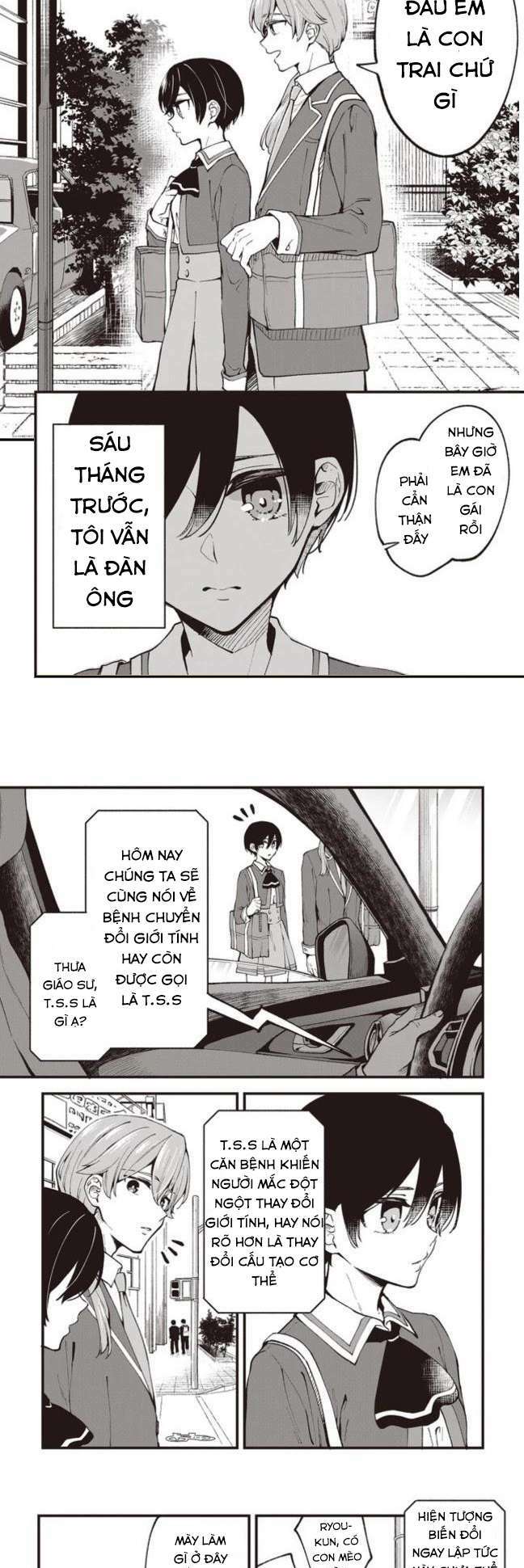 page_20.jpg