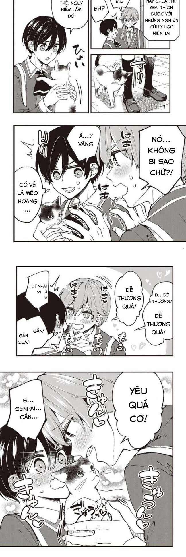page_21.jpg