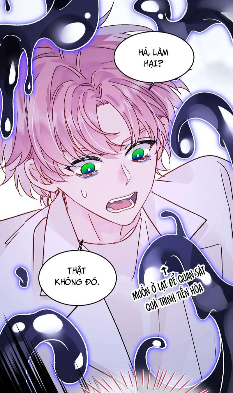page_25.jpg