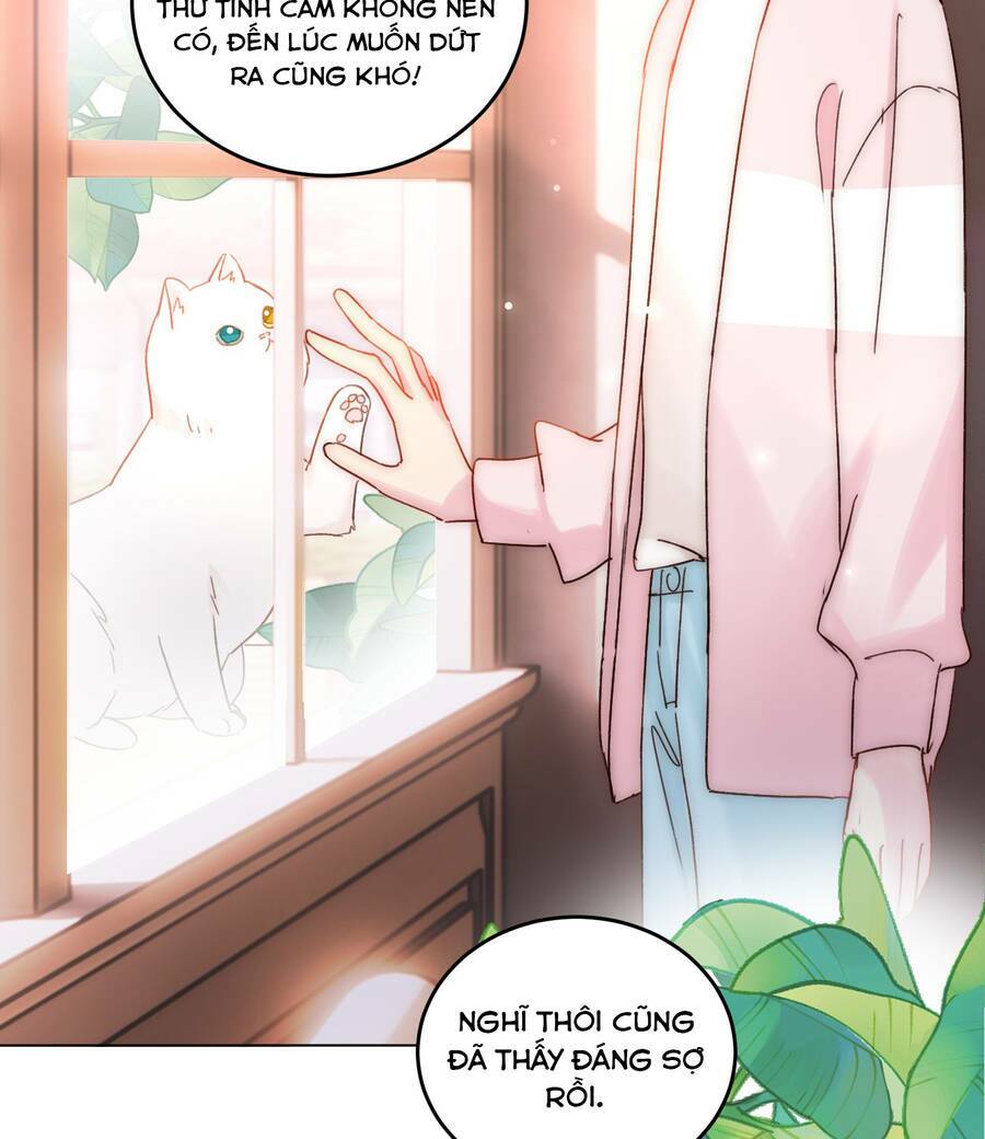 page_20.jpg
