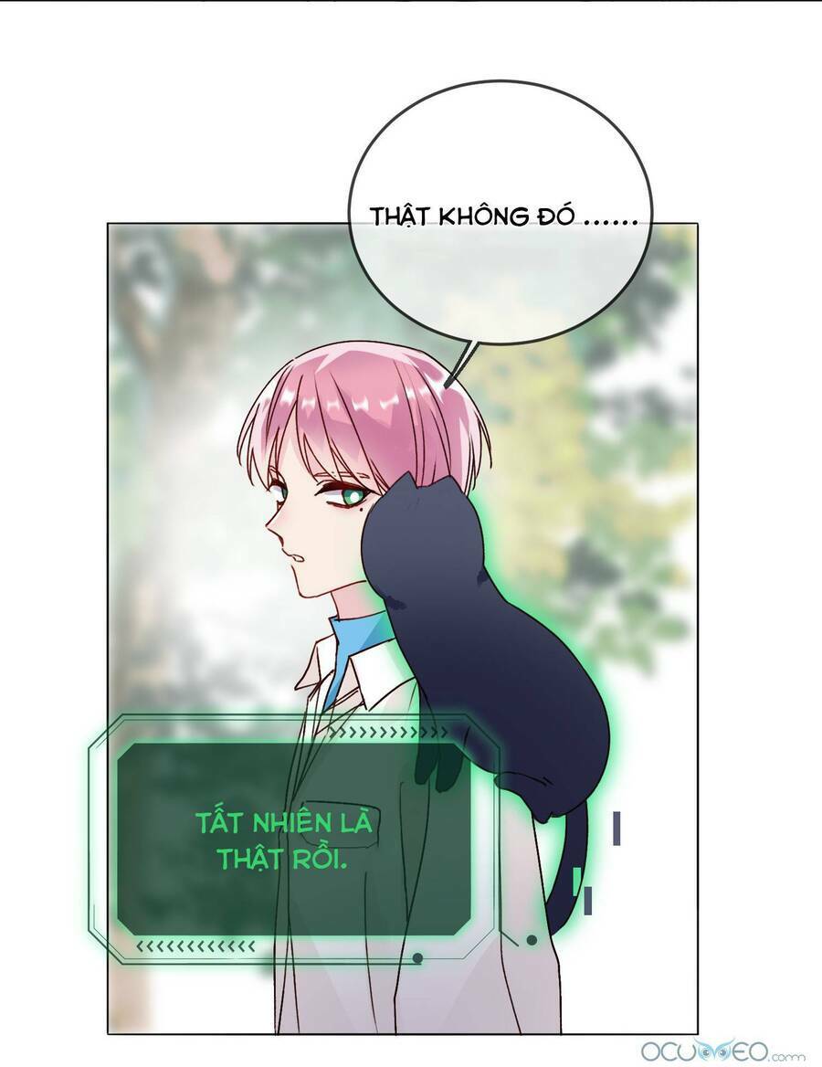 page_13.jpg