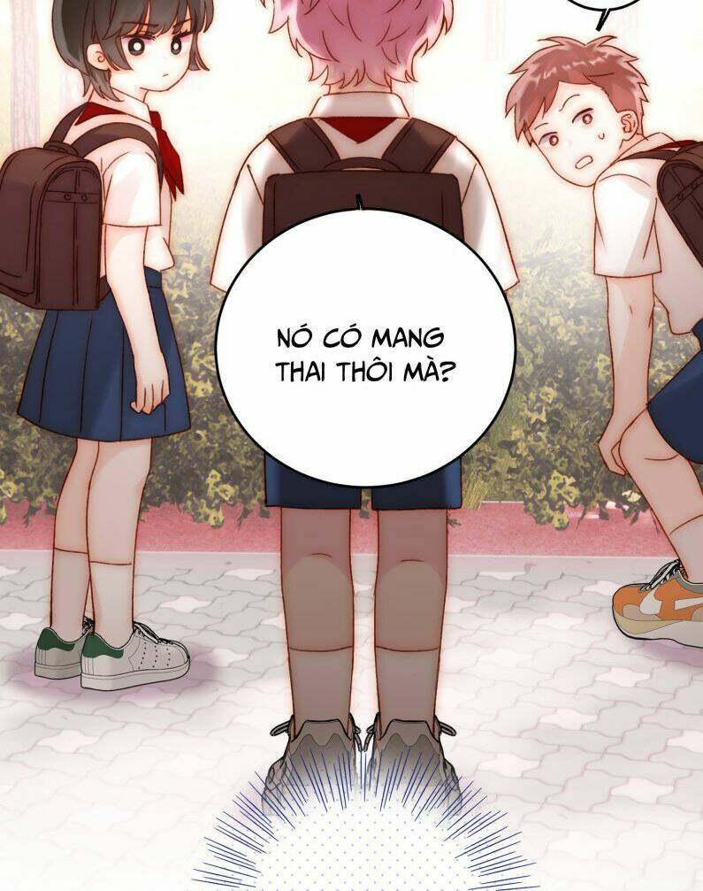 page_26.jpg