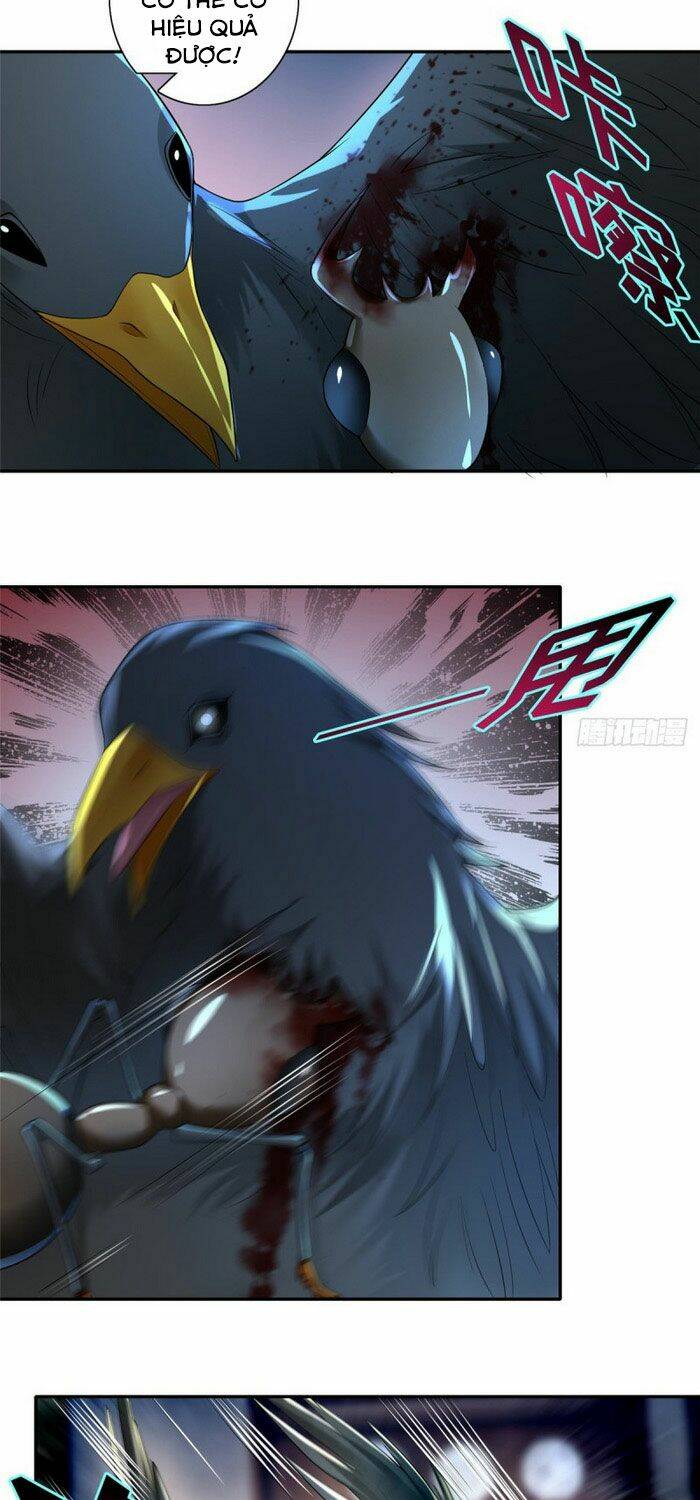 page_5.jpg