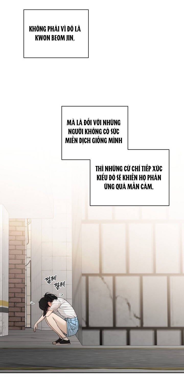 page_19.jpg