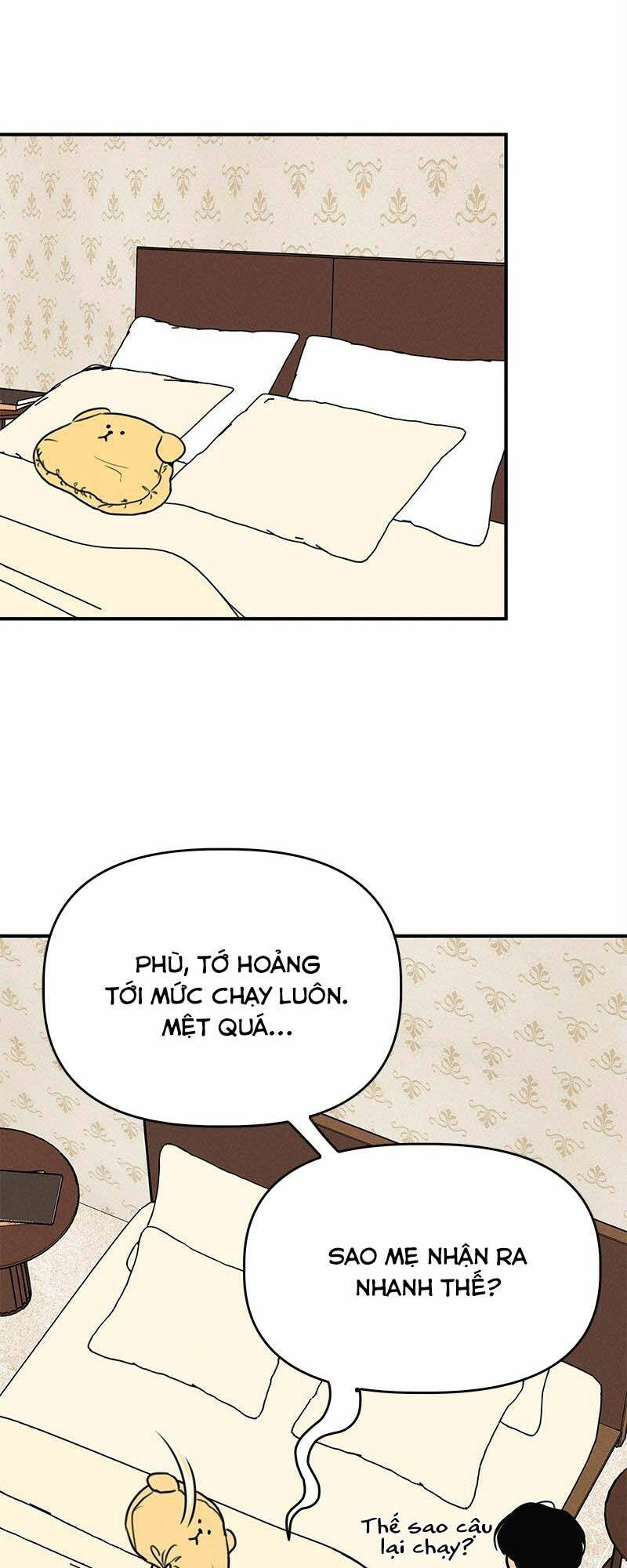 page_30.jpg