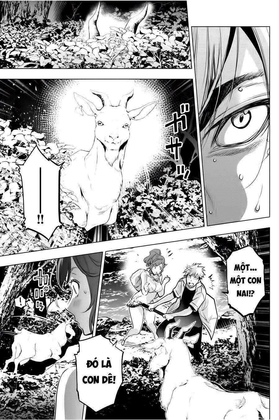 page_13.jpg