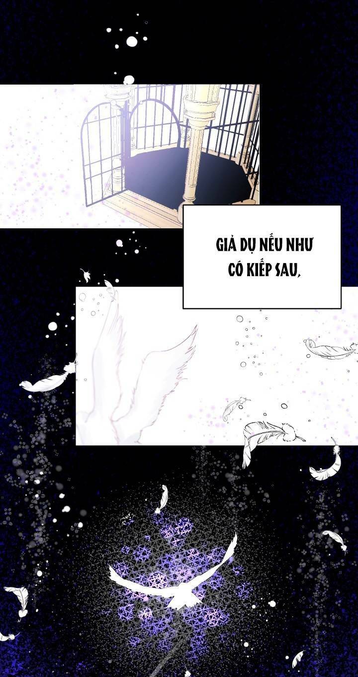 page_64.jpg