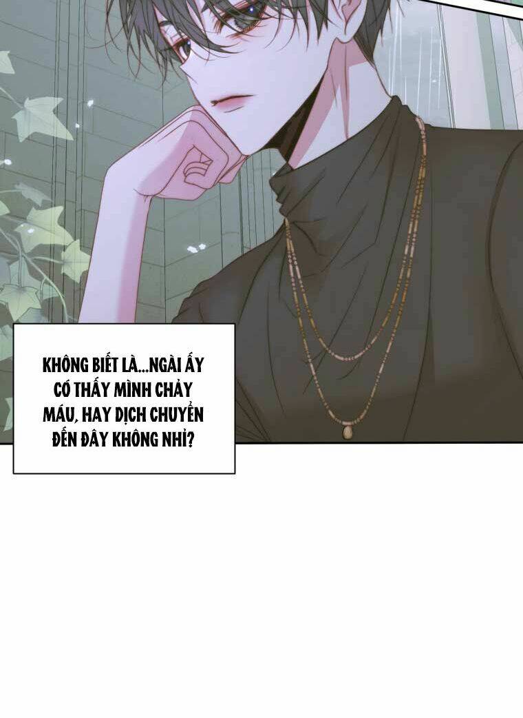 page_17.jpg