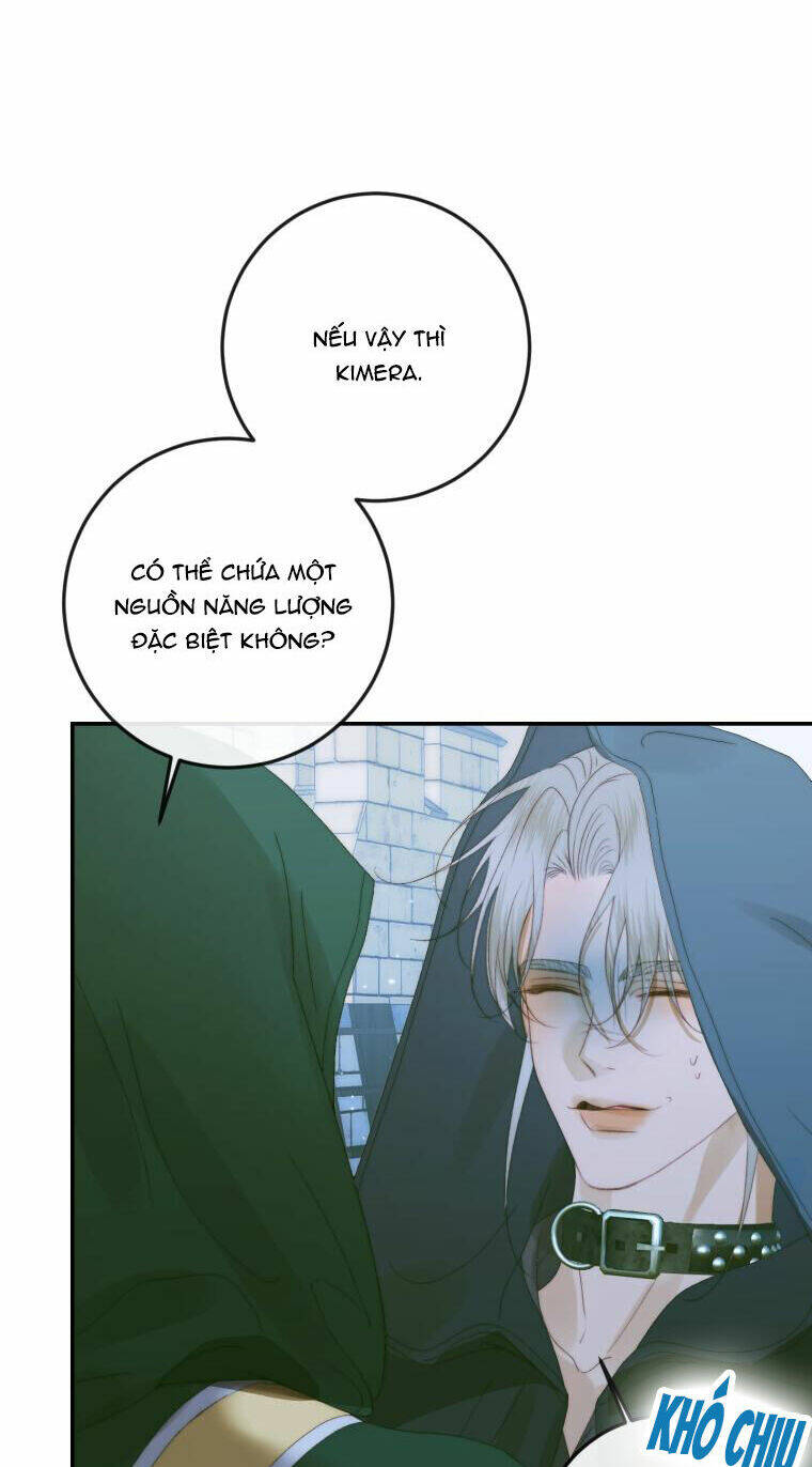 page_13.jpg