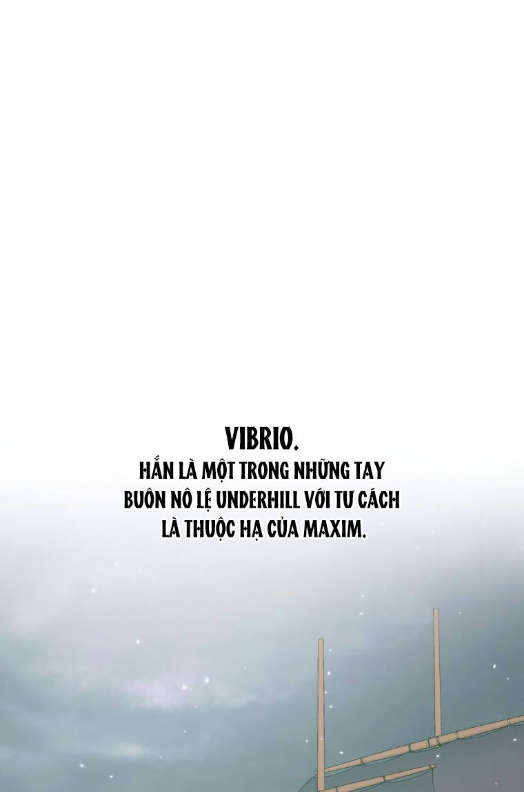 page_25.jpg