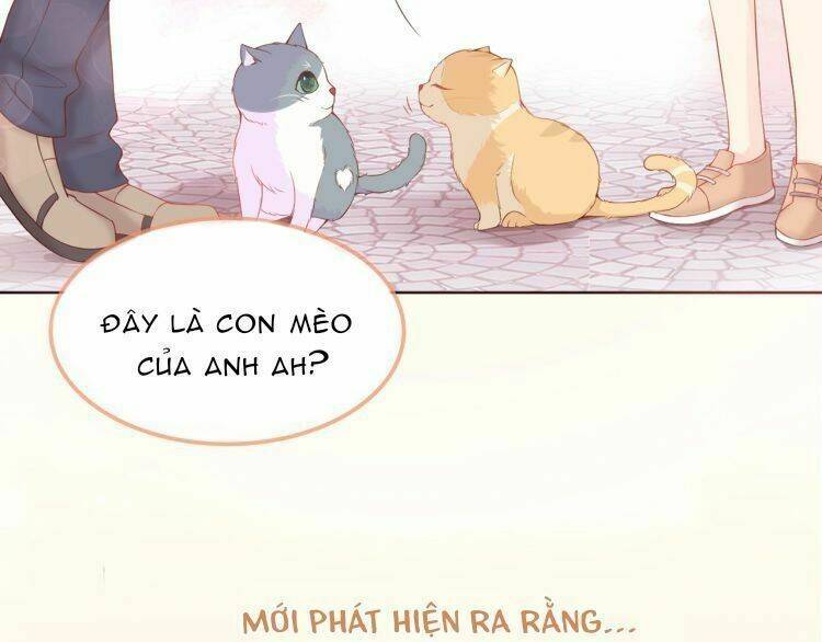 page_28.jpg