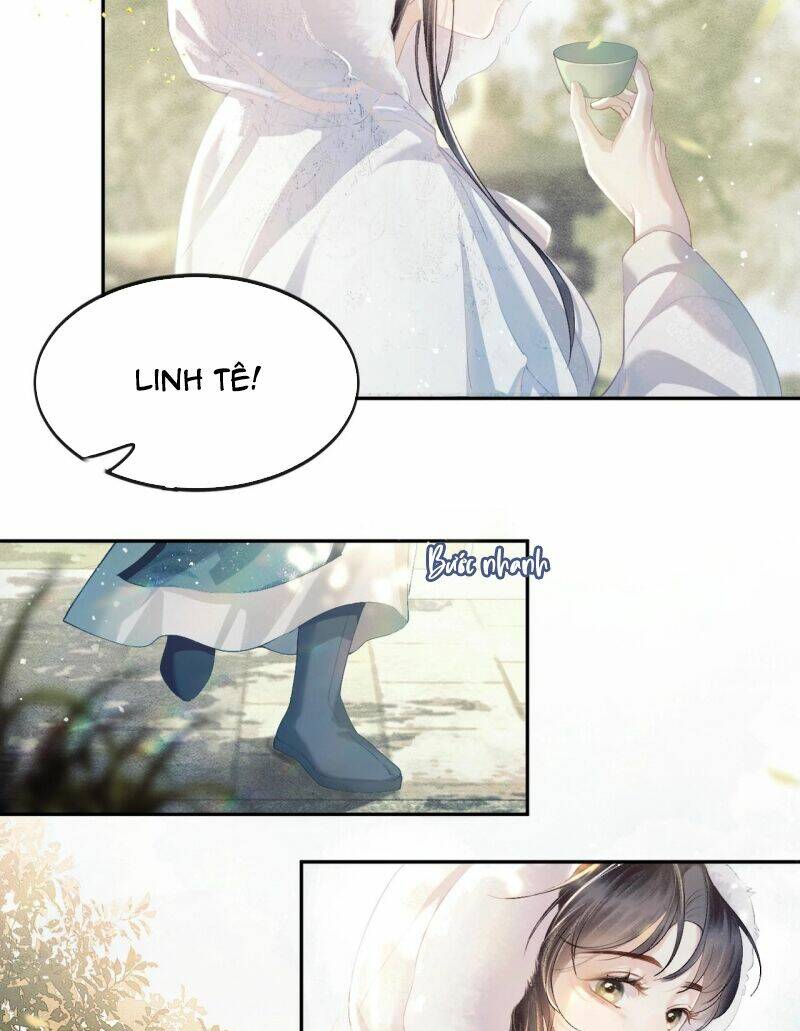 page_19.jpg